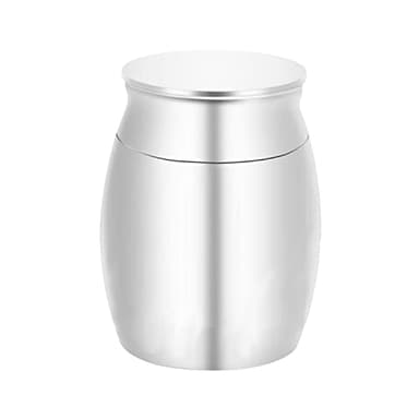 LZZEM 1Pcs Stainless Steel Mini Cremation Urn | Waterproof Pet & Human Ashes Memorial Box | Keepsake Decorative Jar for Loss of Beloved Pets and Family