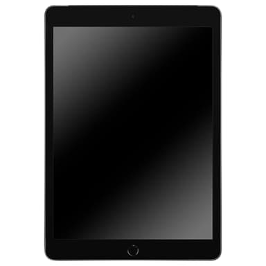 2019 Apple iPad (10.2-inch, Wi-Fi + Cellular, 128GB) Space Grey (Renewed)