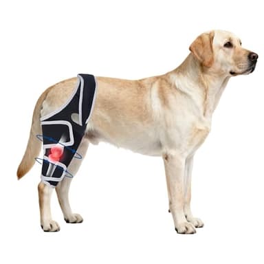 Moysoon Dog Knee Brace for Torn ACL with Side Stabilizers Provides Stable Support and Pain Relief for Hind Leg,(Size S).