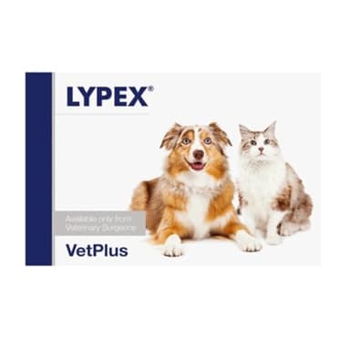 Lypex Pancreatic Enzyme Capsules for Dogs (Pack of 60)