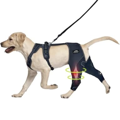 Dog Knee Brace for Torn ACL Hind Leg - Keeps Joints Warm and Stable, Upgraded Adjustable Leg Support (XL (Extended), Classic Knee Brace)