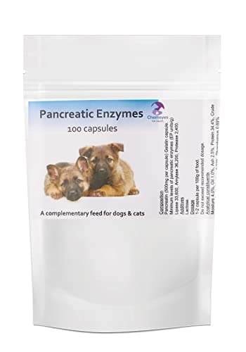 High Strength Pancreatic Enzyme Capsule for Dogs & Cats by Chemeyes - Digestive Enzyme Supplement with Amylase, Protease & Lipase - Pancreatin Supports Normal Digestion & Healthy Weight - 100 Capsules
