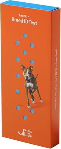 DNA My Dog – Premium Breed ID Test | 99% Accuracy | DNA Analysis of 360+ Dog Breeds | Canine Genetic Age Test | Fastest Turnaround Less than 3 weeks | Includes Genetic Age & Wolf Ancestry
