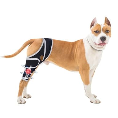 Moysoon Dog Knee Brace for Torn ACL with Side Stabilizers Provides Stable Support and Pain Relief for Hind Leg,(Size L).