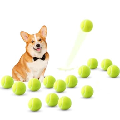 ANCKNE Mini Tennis Balls, 15 Pack 2 inch Dog Tennis Balls, Easy Catching Pet Playing Ball for 2 inch Dog Ball Launcher