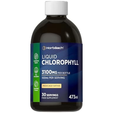 Liquid Chlorophyll Drops for Water | 3100mg Per Bottle | 473ml | Vegan Supplement | Mint Flavour | by Horbaach