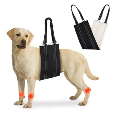 Adjustable Dog Lifting Harness for Large Dog Mobility Aids Support Sling for Weak Rear Legs Dog Lifting Harness for The Senior Injured Disabled and After ACL Surgery Rehabilitation Dog (Black, L)