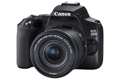 Canon EOS 250D + Canon EF-s 18-55mm f/4-5.6 IS STM Lens - Black