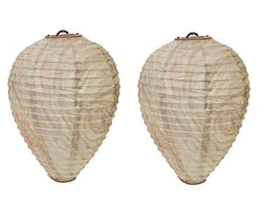 Roots & Shoots PMS Paper Hanging Garden Decoy Wasp Nest Keeps Wasps At Bay Wasp Deterrent (Pack of 2)