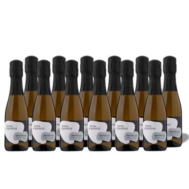 Terra Organica Prosecco D.O.C. 10.5% ABV, 12 x 20cl - Italian Light and Extra Dry Sparkling Organic Mini Prosecco Bottles - Makes for a Great Prosecco Gift Set