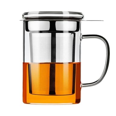 PARACITY Tea Cup, Borosilicate Clear Tea Mug with Removable Stainless Steel Infuser and Lid, Tea Cup 15oz/450ml Stove Safe, Glass Teas Cups for Loose Tea, Gift for Family and Friends
