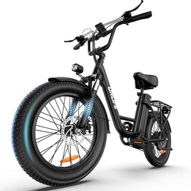 URLIFE Electric Bike for Adults, 20" x 3.0 Fat Tire Electric Bicycle with Colorful Display, 250W Motor Ebike, 48V 13Ah Removable Battery, 100 KM Max, All-Terrain E-Bike for Adults and Teens (BLACK)