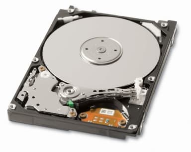 Generic 3.5" SATA Desktop Hard Drive for PC, Mac, CCTV DVR, NAS, RAID (1TB)