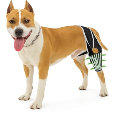 Dog Knee Brace for Torn ACL and Joint Damage, Adjustable Front Back Leg Support Bracket, Supportive Pain Relief Hip Dysplasia Support Brace for Hind Legs, Four Leg Universal Dog Hip Brace (M)