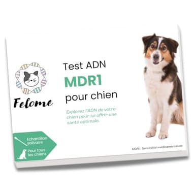 Felome MDR1 DNA Test for Dogs – Drug Sensitivity Test for Your Dog – Results in 2 Weeks – Puppies and Dogs Health Test
