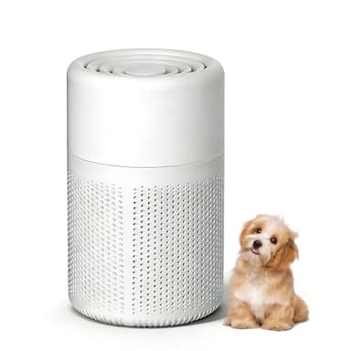 Mini Air Purifier, USB Desktop Air Humidifier,Portable Small Humidifier,usb purifier,Portable Mini Humidifiers for Bedroom and Office,Super Quiet