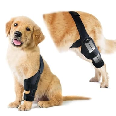 Dog Knee Brace for Hind Leg, Adjustable ACL Recovery Aid for Dog Back Legs, Cruciate Ligament Support for Injured Elderly Dogs, Warm Joint & Relief Pain, Featured Diving Cloth Material(Black, L)