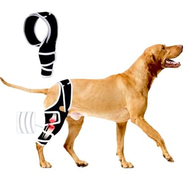 Dog Knee Brace for Torn ACL Hind Leg, Adjustable Dog Knee Braces Rear Leg or Front Legs, Pain Relief Hip Dysplasia Support CCL Brace for Dogs Cruciate Ligament Injury Recovery, S