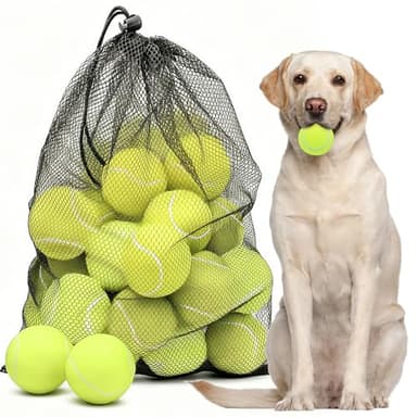 Jonuin 20 Pcs Small Tennis Balls for Dogs, 6.3cm/2.5'' Mini Tennis Balls with Mesh Carrying Bag, Tennis Ball for Dogs Pets Playing Fecth, Small Tennis Ball for 2.5 Inch Dog Ball Launcher