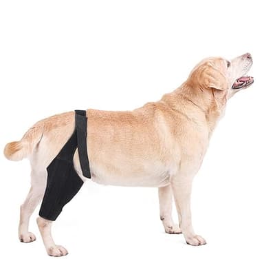 SUYUKU Dog Knee Brace for ACL with Side Stabilizers Dogs Surgery Recovery Lick Sleeve Joint Hock Support Canine Leg Hock Wrap Carpal Support Protects Wounds Brace Heals Prevents Injuries (Black, L)