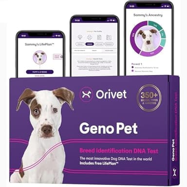 ORIVET GenoPet Dog DNA Test | Dog Breed Identification & Genetic Health Screening | Personalised Care Report for Your Dog