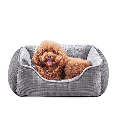 JOEJOY Medium Dog Bed Washable Pet Bed, Orthopedic Calming Dog with Raised Edges Rectangle Bed Non-Slip Bottom Puppy Bed, Soft Rose Velvet Pet Bed For Medium Dogs, Grey, 63x53x21 cm