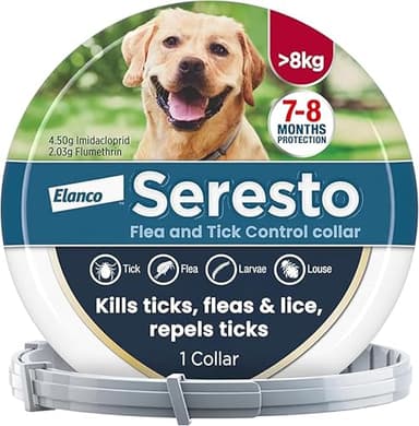 Seresto Flea and Tick Control Collar For Dogs Over 8kg (1 Collar), Long-Lasting & Simple Treatment For Dogs, 7-8 Months Of Protection, Keeps Pets Protected From Fleas & Ticks