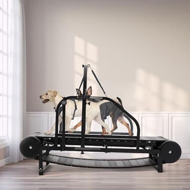 Moysoon Dog Treadmill for Medium & Large Dogs - Adjustable Ramp Canine Running Slatmill Machine with Pedometer for Exercise & Healthy Pet Life - Up to 350 lbs